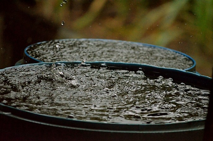 Two rain barrels on the back stoop show the signs of the rainy season. At Caesar's where we sampled (and bought) agua diente.