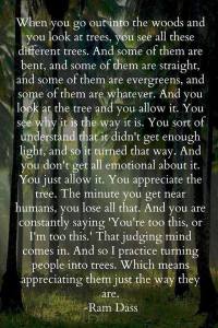 RamDassQuote