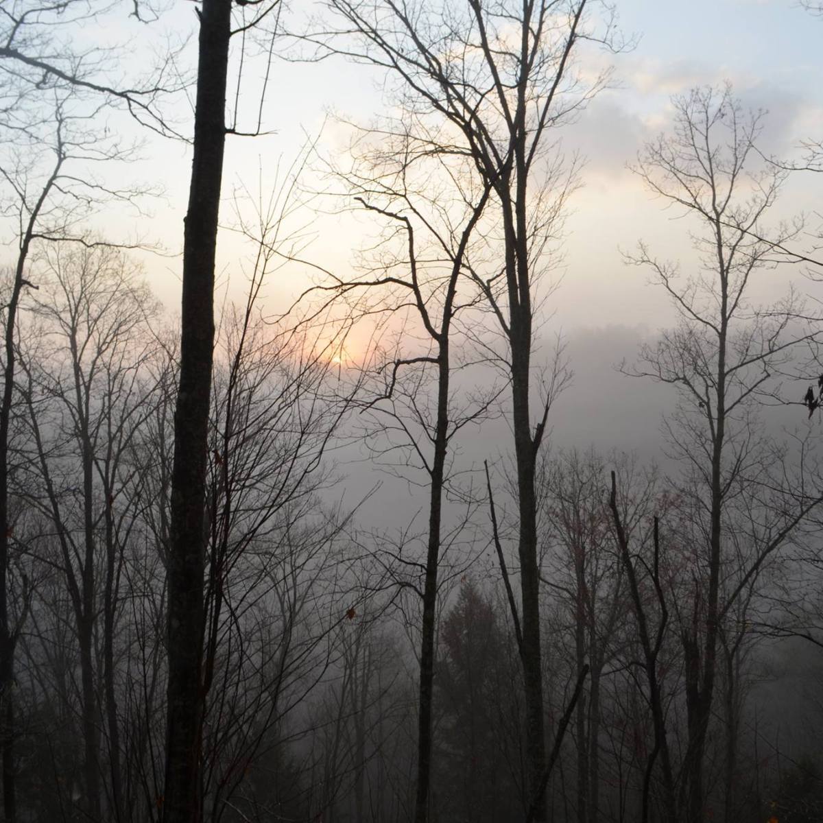 Chapter 4: Abandoned&nbsp;Quarry